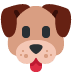 Resultado da corujinha do jogo do bicho de 7/11/2025 🐶